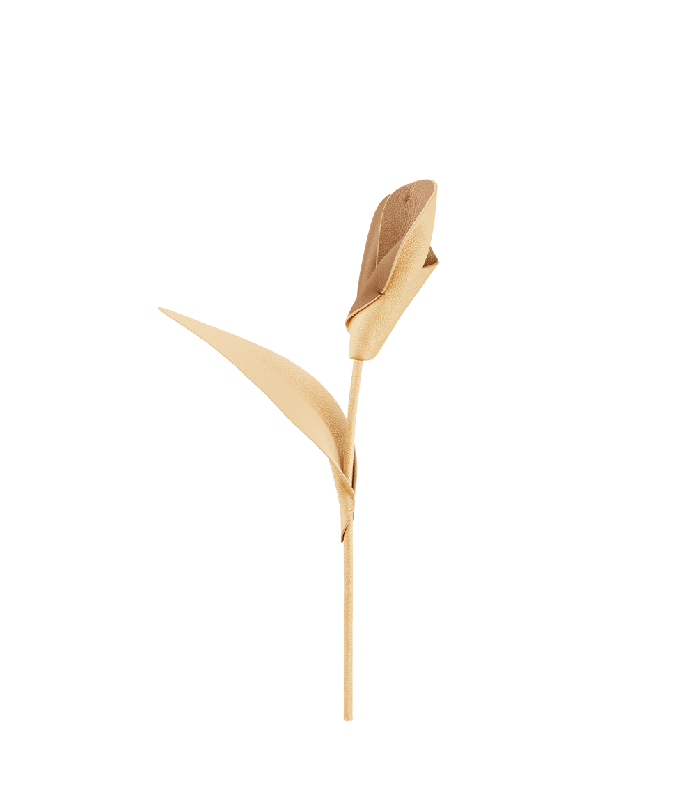 Fleur Pili - Grained Wheat Duo