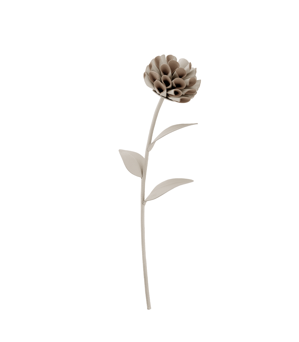 Fleur Dalium - Duo Craie