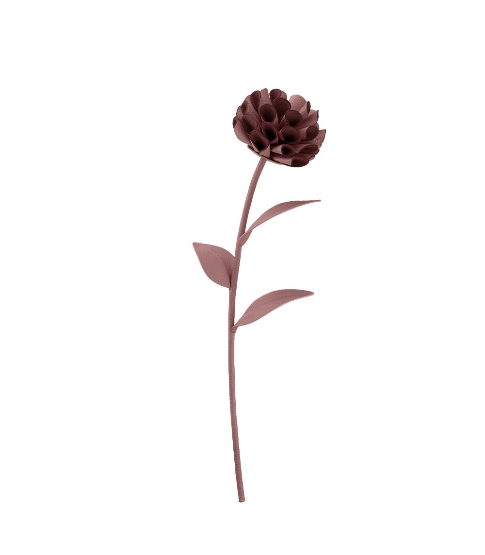 Fleur Dalium - Duo Lilas