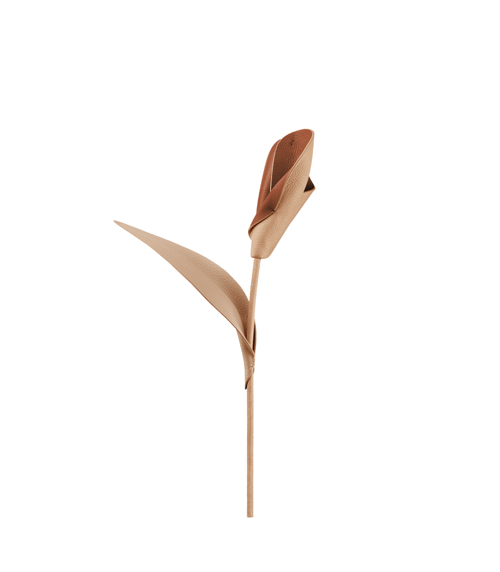 Fleur Pili - Duo Beige