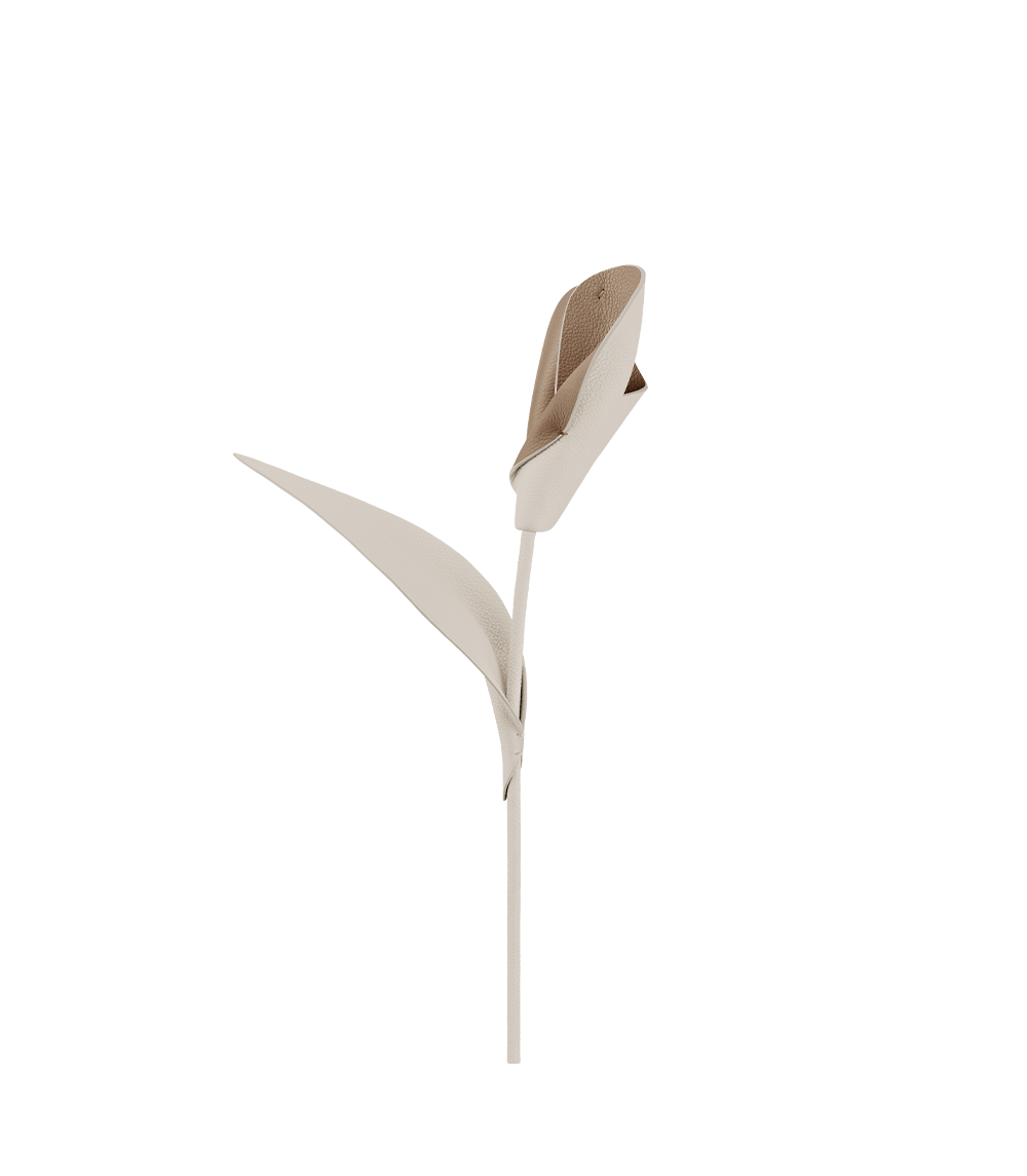 Fleur Pili - Duo Craie
