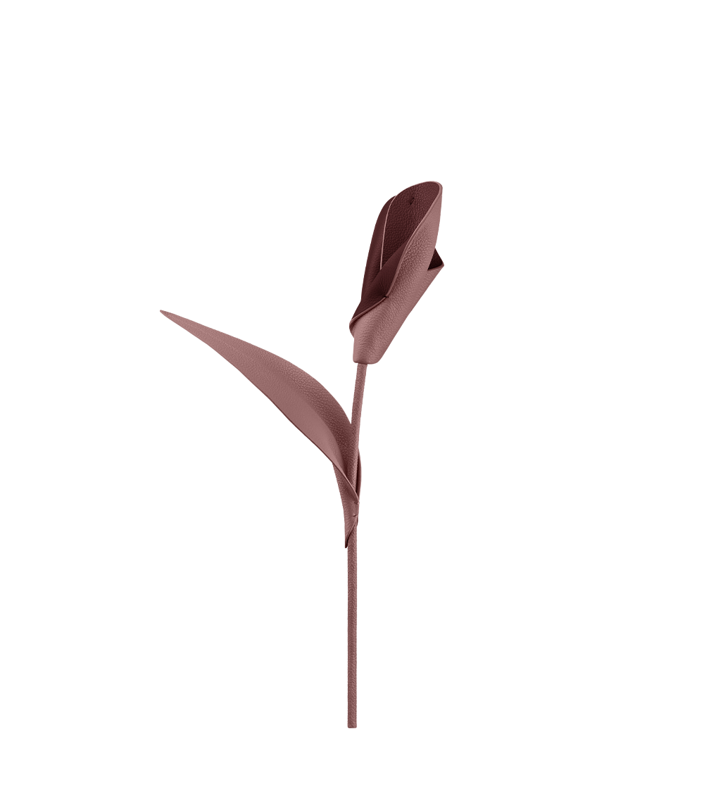 Fleur Pili - Duo Lilas
