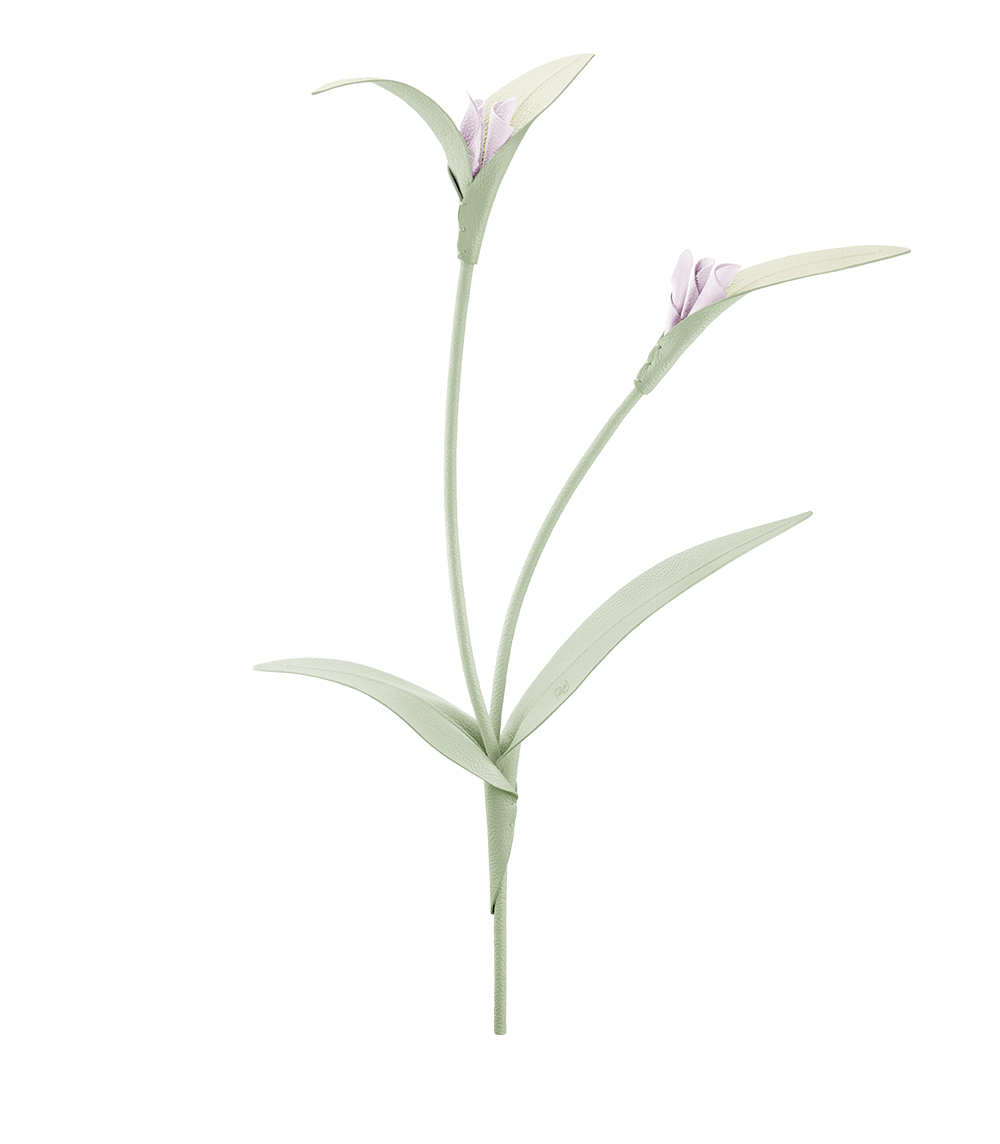 Fleur Touka - Trio Amande Fraîche