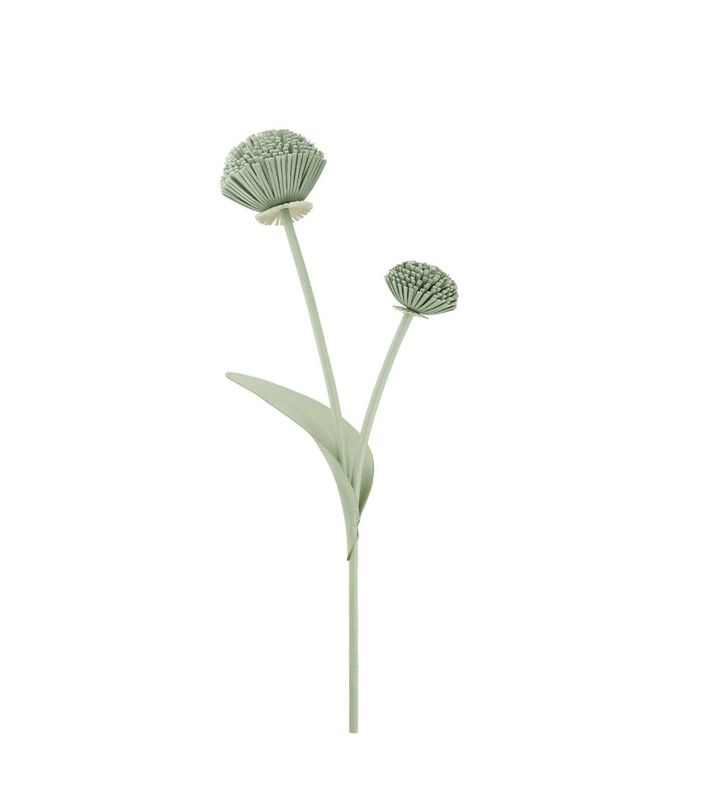 Fleur Tul - Duo Amande Fraîche
