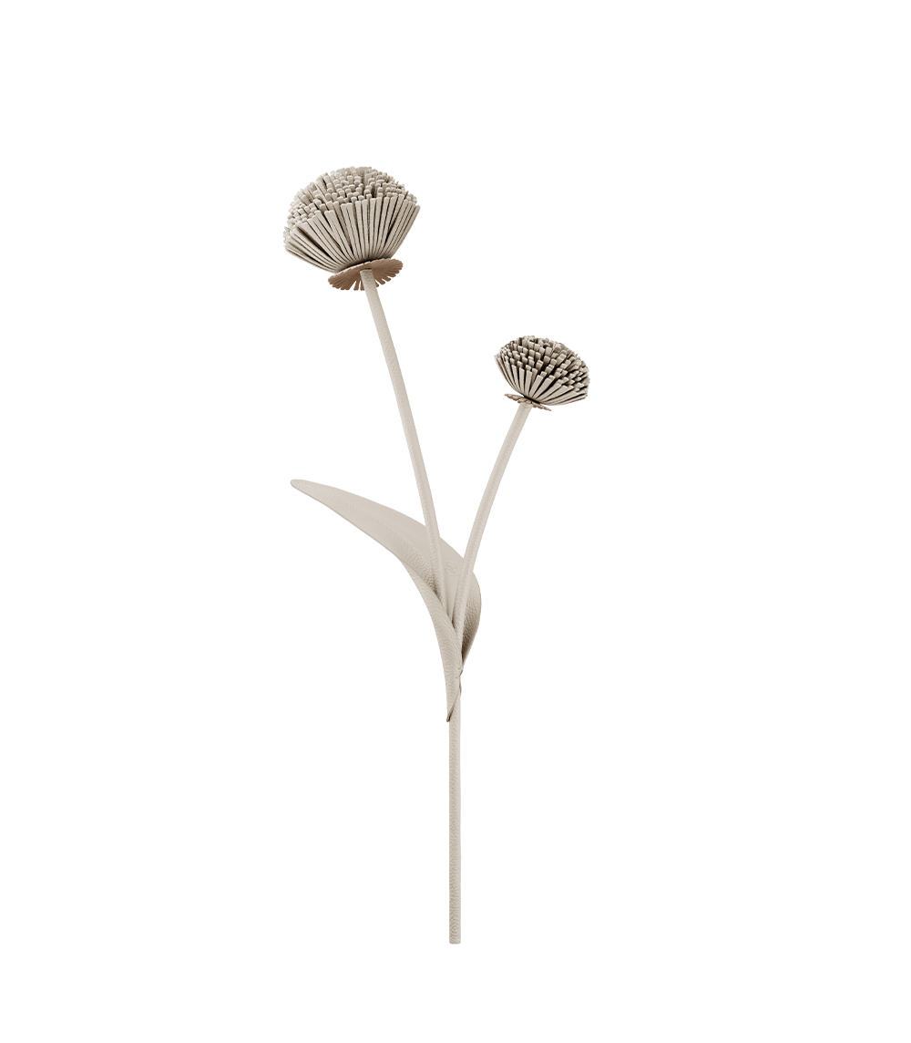 Fleur Tul - Duo Craie