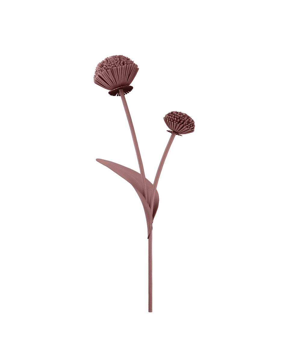 Fleur Tul - Duo Lilas